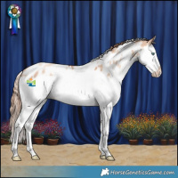 Horse Color:White Spotted Gold Champagne Dun Splash Frame Near Leopard Rabicano 