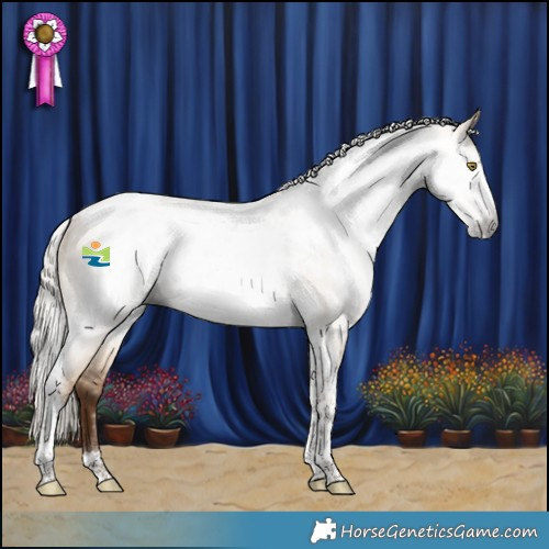 Horse Color:Gray Silver Bay Pearl Dun Tobiano Frame Rabicano 