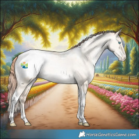 Horse Color:Amber Cream Champagne Snowdrop Dun Tobiano Appaloosa Rabicano 