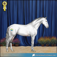 Horse Color:Gray Bay Tobiano 