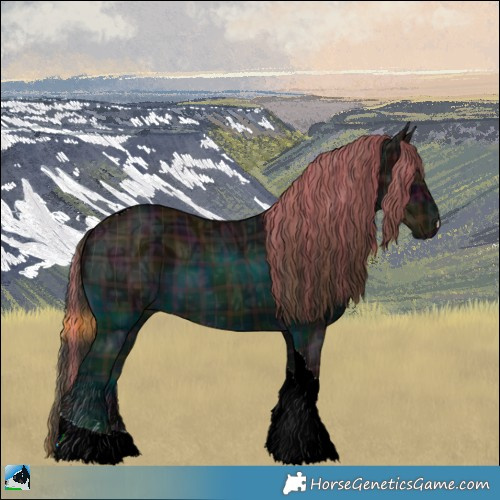 Horse Color:Plaid Midnight Liver Chestnut Ice Tobiano