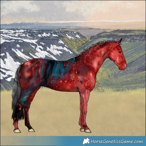 Horse Color:ERROR: UNKNOWN ANOMALY