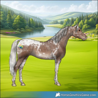 Horse Color:Silver Black Tobiano Appaloosa