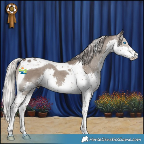 Horse Color:Silver Grullo Splash Tobiano 