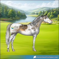 Horse Color:Gray Silver Buckskin Splash Tobiano 