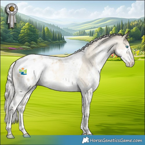 Horse Color:White Spotted Silver Smoky Black Pearl Splash Tobiano Appaloosa 