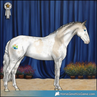 Horse Color:White Spotted Silver Smoky Black Pearl Splash Tobiano Appaloosa