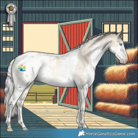 Horse Color:White Spotted Silver Smoky Black Pearl Splash Tobiano Appaloosa 