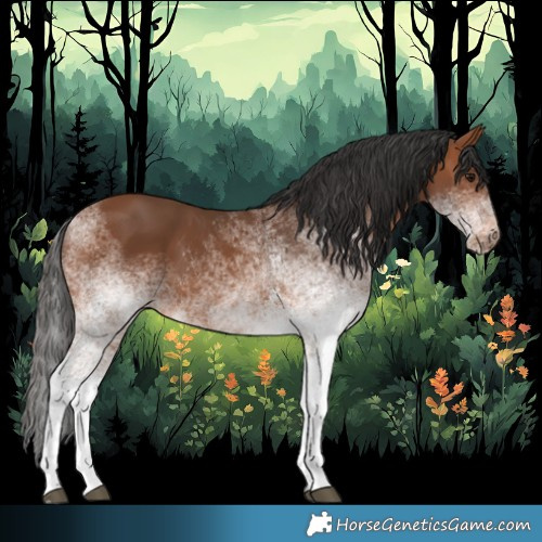 Horse Color:White Spotted Bay 