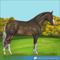 Horse Color:Silver Buckskin 