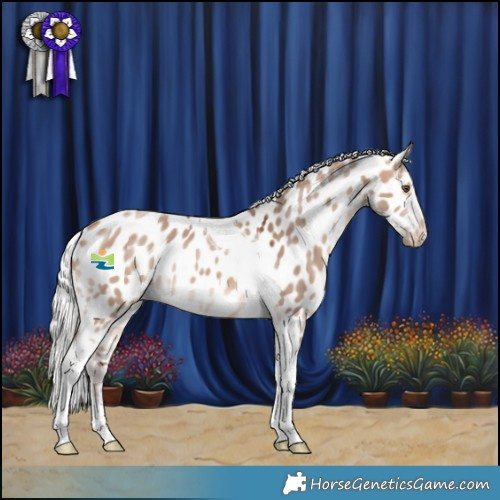 Horse Color:Silver Brown Dun Mushroom Tobiano Appaloosa 