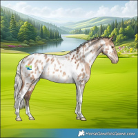 Horse Color:Silver Brown Dun Mushroom Tobiano Appaloosa 