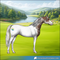 Horse Color:Silver Black Tobiano Appaloosa 
