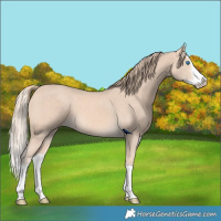 Horse Color:Perlino Sabino Splash