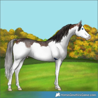 Horse Color:Brown Splash