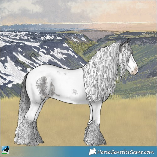 Horse Color:Brown Ice Sabino Splash Tobiano Rabicano