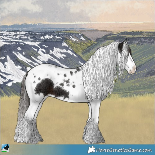 Horse Color:Liver Chestnut Ice Splash Tobiano 