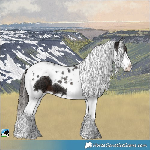 Horse Color:Liver Chestnut Ice Splash Tobiano 