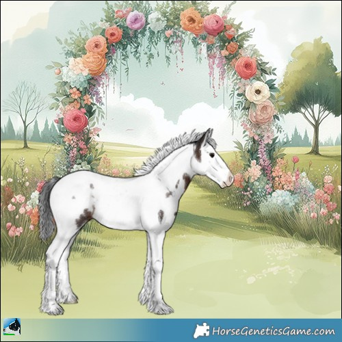 Horse Color:White Spotted Bay Ice Splash Tobiano Rabicano 