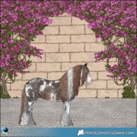 Horse Color:White Spotted Liver Chestnut Ice 