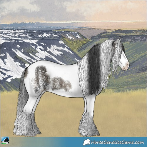 Horse Color:White Spotted Blue Onyx Ice Splash Tobiano