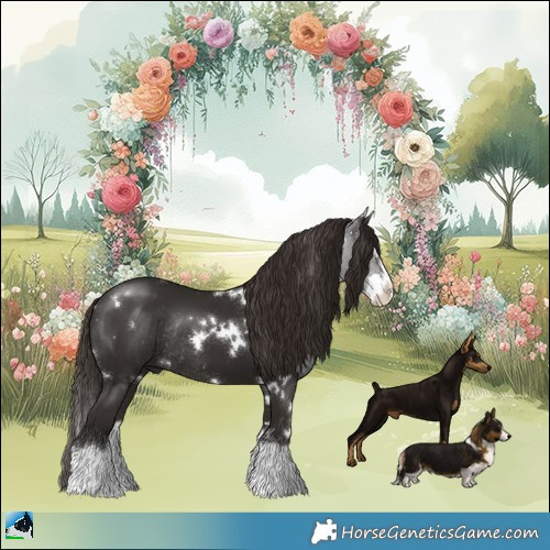 Horse Color:White Spotted Liver Chestnut Sabino Splash Rabicano 