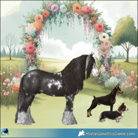 Horse Color:White Spotted Liver Chestnut Sabino Splash Rabicano 