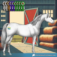 Horse Color:Gray Buckskin Tobiano 