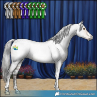 Horse Color:Gray Buckskin Tobiano 