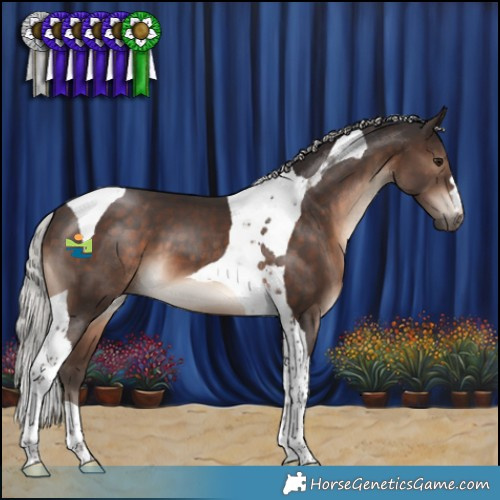 Horse Color:Silver Brown Tobiano 