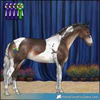 Horse Color:Silver Brown Tobiano