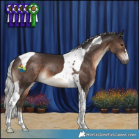 Horse Color:Silver Brown Tobiano 
