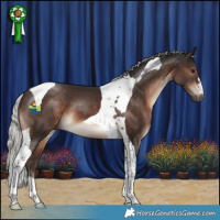 Horse Color:Silver Brown Tobiano 