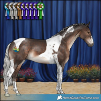 Horse Color:Silver Brown Tobiano 