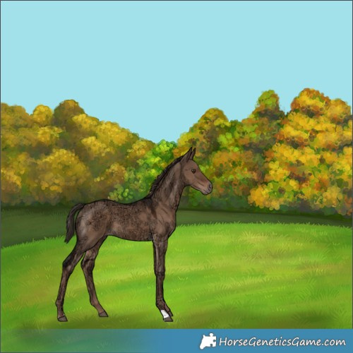 Horse Color:Liver Red Dun Ice 