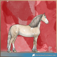 Horse Color:White Spotted Chocolate Palomino Pearl Dun Splash 