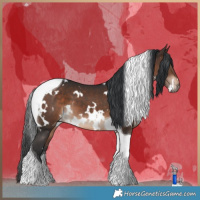 Horse Color:White Spotted Brown Tobiano 