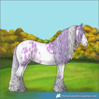 Horse Color:Watercolor Silver Grullo Splash Tobiano Appaloosa