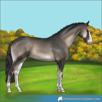 Horse Color:Blue Onyx 