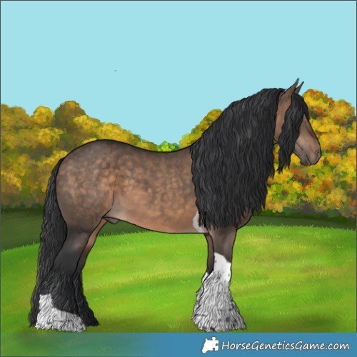 Horse Color:Brown Dun Tobiano 