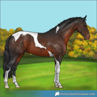 Horse Color:Brown Tobiano Varnish 