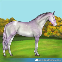 Horse Color:Watercolor Silver Buckskin Onyx Tobiano Appaloosa 
