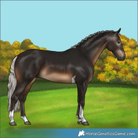 Horse Color:Gray Silver Brown Tobiano