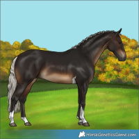 Horse Color:Gray Silver Brown Tobiano 