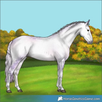 Horse Color:Gray Watercolor Silver Smoky Blue Onyx Ice Tobiano 