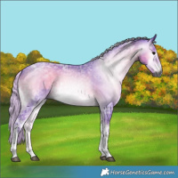 Horse Color:Gray Watercolor Silver Smoky Blue Onyx Ice Tobiano 