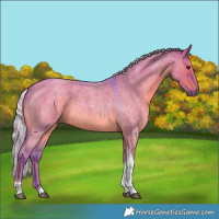 Horse Color:Watercolor Silver Grullo Roan Tobiano 