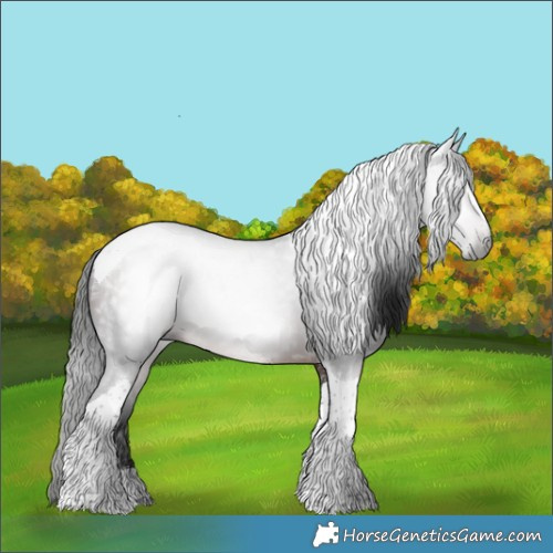 Horse Color:Gray Brown Tobiano 