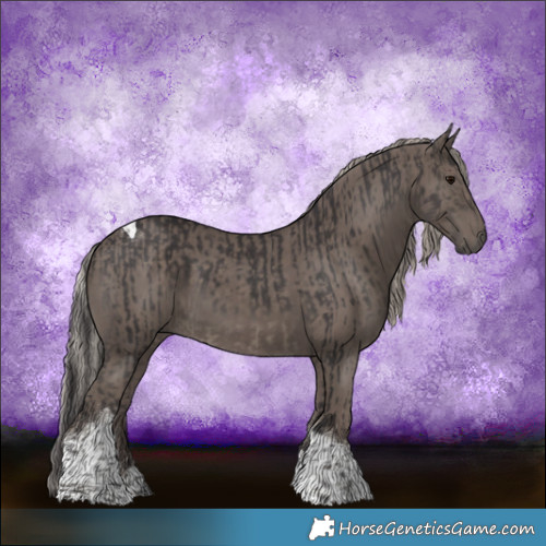 Horse Color:Smoky Black Tobiano  and Silver Black Tobiano 
