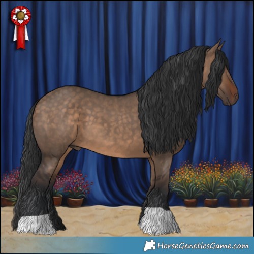 Horse Color:Brown Dun 